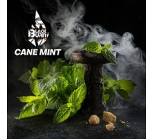 Табак BLACKBURN Cane Mint (Тростниковая Мята) 25гр.