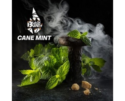 Табак BLACKBURN Cane Mint (БЛЭКБЕРН Перечная Мята) 25гр.