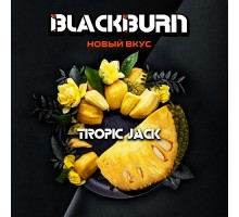 Табак BLACKBURN Tropic Jack (Спелый Джекфрут) 25гр.