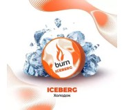 Табак BURN Iceberg (Холодок) 25гр
