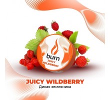 Табак BURN Juicy Wildberry (Дикая земляника) 25гр