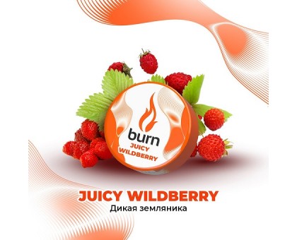 Табак BURN Juicy Wildberry (Дикая земляника) 25гр