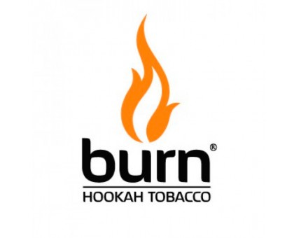 Табак BURN Tibet (Индийские специи) 25гр