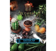 Табак ELEMENT Вода Cactus Fig (Кактус и финик) 40гр.