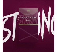 Табак ШПАКОВСКОГО Strong Grape Gatsby Mix (Виноградная газировка) 40гр.