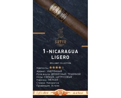 Купить табак для кальяна SATYR Brilliant №1 Nicaragua Ligero 100гр. в Екатеринбурге